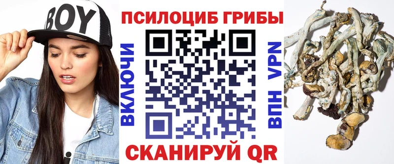 где купить наркоту  кракен как войти  Галлюциногенные грибы ЛСД  Петропавловск-Камчатский 